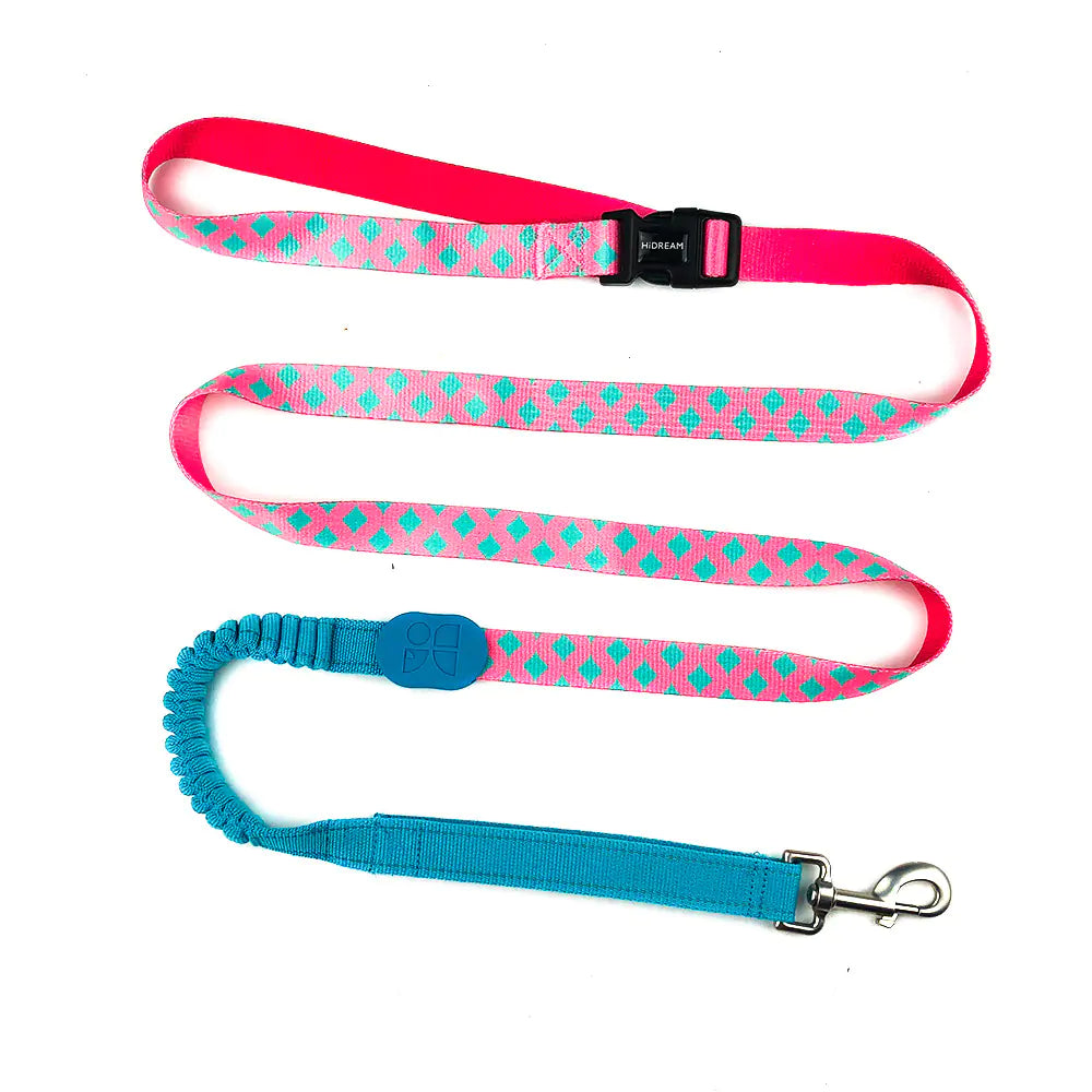 Multifunctional Pet Traction Rope for Walking Dogs