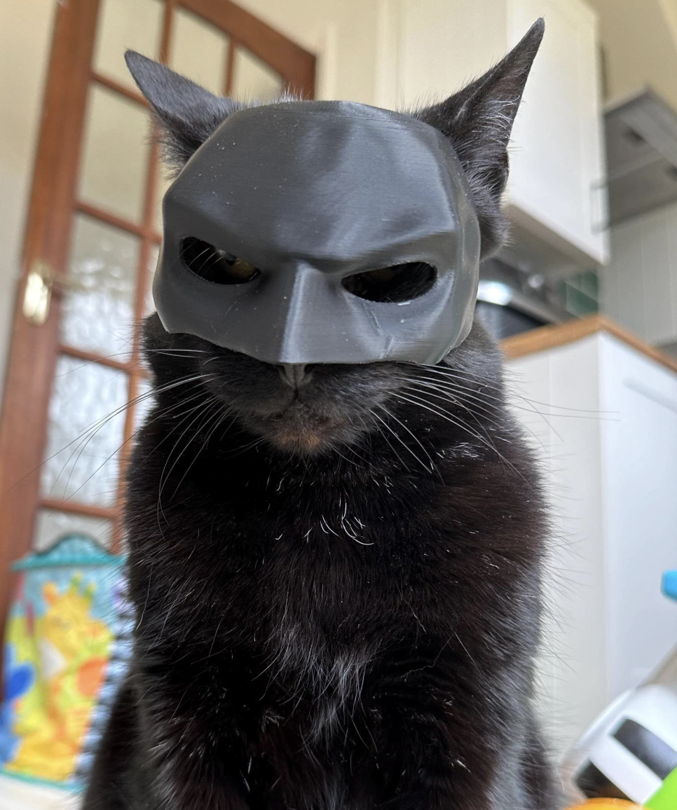 Bat Cat Mask Pet Toy