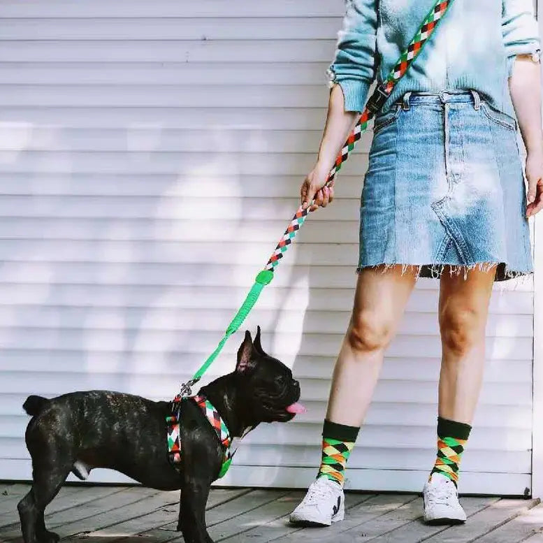 Multifunctional Pet Traction Rope for Walking Dogs