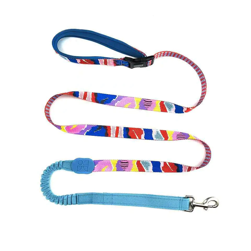 Multifunctional Pet Traction Rope for Walking Dogs