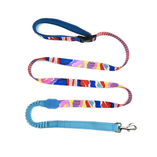 Multifunctional Pet Traction Rope for Walking Dogs